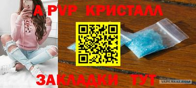 спиды Рязань