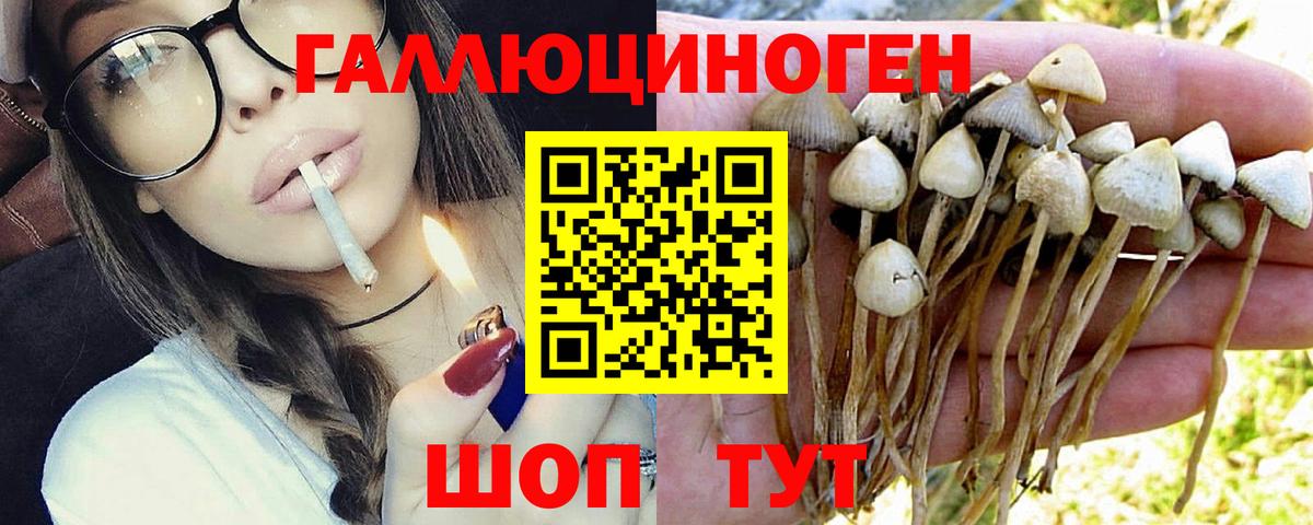 Псилоцибиновые грибы прущие грибы Первоуральск
